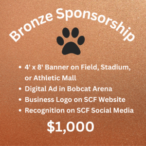 Bronze Sponsorship