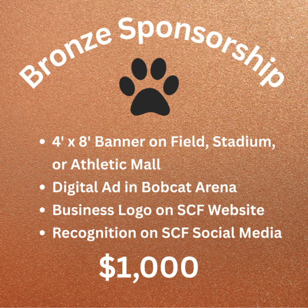 Bronze Sponsorship