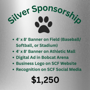 Silver Sponsorship