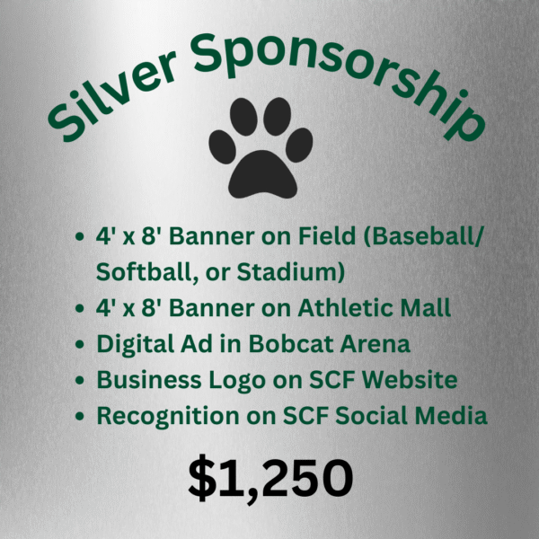 Silver Sponsorship