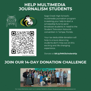 Multimedia Journalism 14 Day Challenge