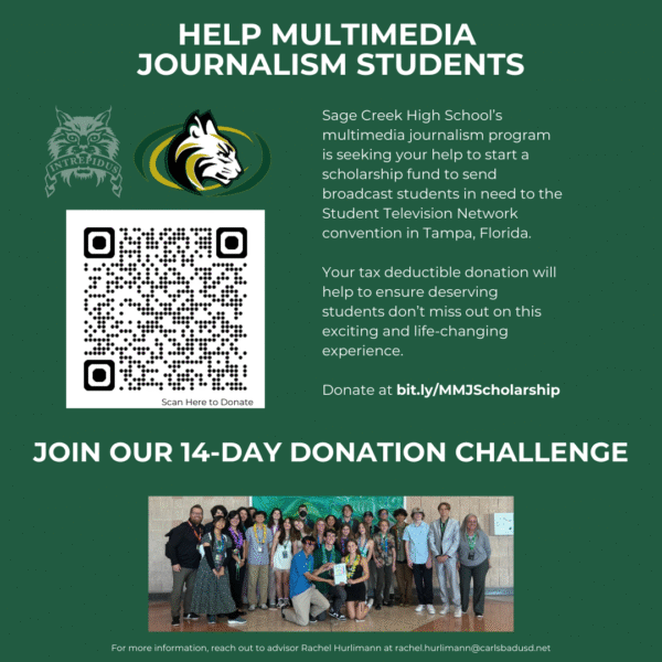 Multimedia Journalism 14 Day Challenge