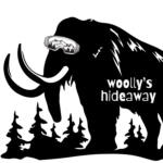 woollys logo (1)